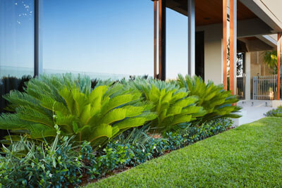 port_macquaire_landscaping (5)